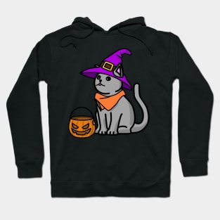 Halloween cat Hoodie